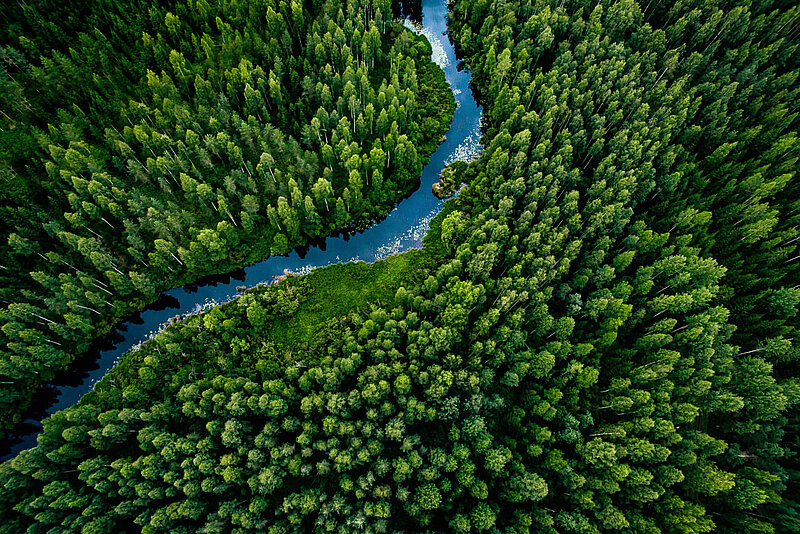 Straße durch den Wald